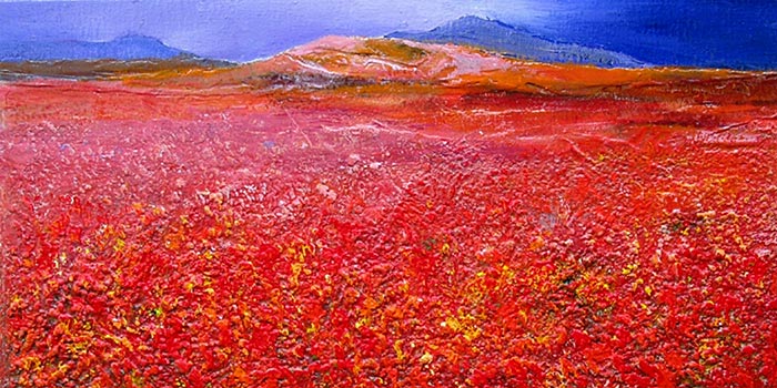 © Pierrick GIRAULT Champ de fleurs rouges 40 x 20 cm